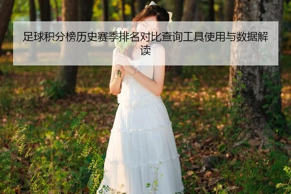 足球积分榜历史赛季排名对比查询工具使用与数据解读